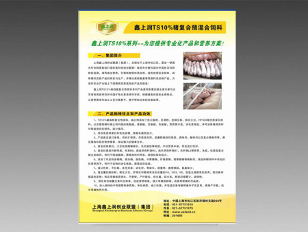 ������TS10%������Ԥ�������